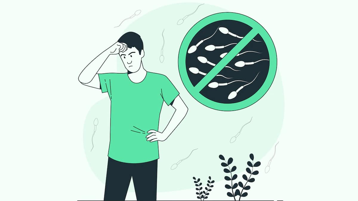 Supplements for Enhancing Male Fertility, Reproductive Health, Muscle Mass, and Athletic Performance